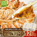 【ふるさと納税】高評価 餃子 黒豚餃子 16g × 12個 × 10パック 計 120個 鹿児島黒豚 100% しっとり やわらかい 旨味 ジューシー さっぱりとした味わい 国産 厳選 素材 あふれる肉汁 もっちもちの皮 おつまみ 惣菜 おかず お取り寄せ グルメ 送料無料 鹿児島県 南九州市