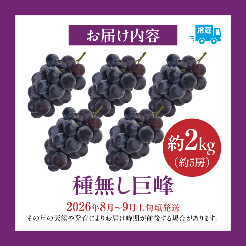 種無し巨峰 約2kg（約5房） 2026年 先行予約 種なしぶどう