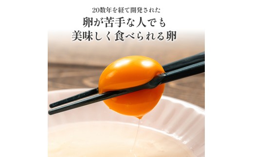 卵が苦手な子どもも食べられた！生臭くないおいしい卵 6個入×5P／Gbn-A03 
