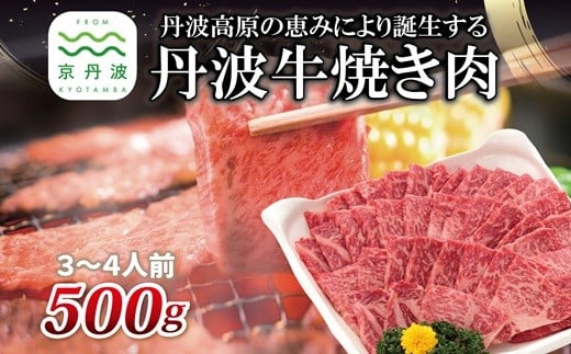 丹波牛 焼肉用 500g 3～4人前 【 黒毛和牛 国産牛 焼肉 丹波牛  赤身 霜降り 500g 3～4人前 京都 いづつ屋  】 [025IZ001]