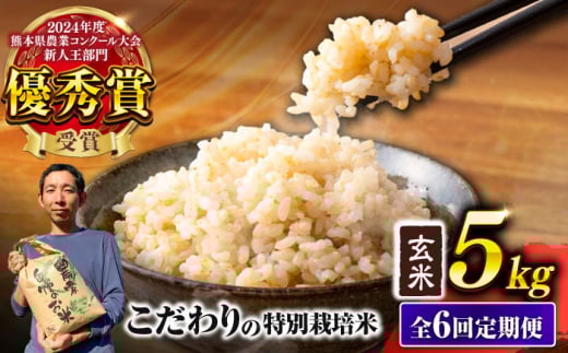【先行予約】 【令和7年度】 【全6回定期便】 くまさんの輝き 玄米 5kg 計30kg（2025年10月下旬ごろ順次発送）【坂本農園】 [AYCC026]