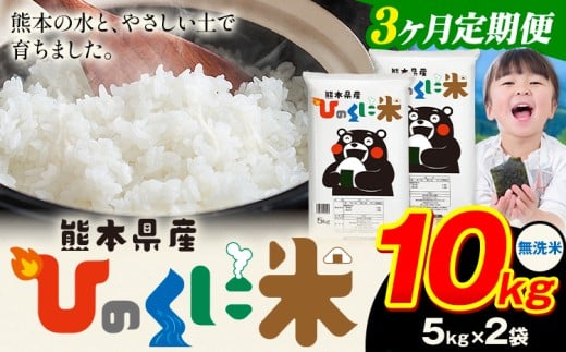 【3ヶ月定期便】 無洗米 ひのくに米 10kg 《お申込み翌月から出荷》 食品 米 こめ コメ 熊本県産 ふるさと納税 お米 おこめ 熊本