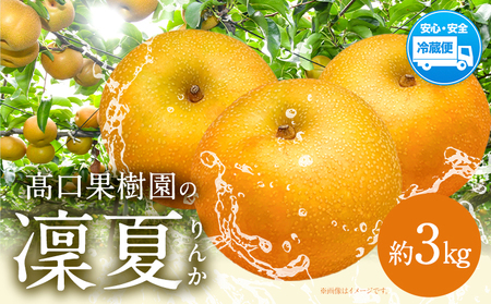【2026年 先行予約】 梨 旬の梨 凜夏 和梨 約 3kg 秋 旬 熊本県 荒尾市産 髙口果樹園《2026年8月中旬-9月上旬頃出荷》フルーツ 果物 美味しい梨 旬の梨 ジューシー梨 フルーツ梨