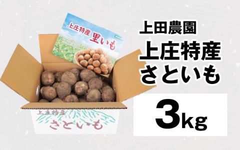 【先行予約】【満天☆青空レストランでご紹介】上田農園 上庄特産さといも 3kg【10月下旬～順次発送】