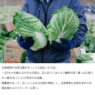 ふるさと納税 瀬戸内市 瀬戸内牛窓産 白菜 約15kg(5〜6玉)[No.5735-1029] |  | 02