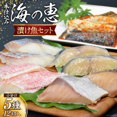 ふるさと納税 気仙沼市 本仕込み海の恵5種セット(さば・タラ・ブリ・赤魚・サワラ)5種 12切入 20563353 ◎
