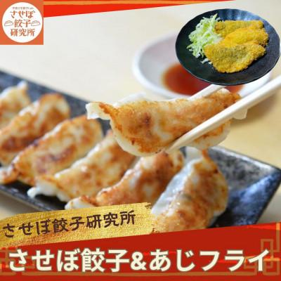 ふるさと納税 佐世保市 〈させぼ餃子研究所〉させぼ餃子&amp;あじフライセット
