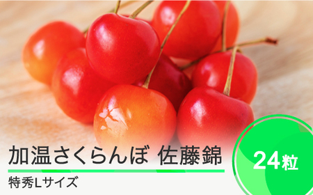 加温 さくらんぼ 佐藤錦 特秀Lサイズ 24粒 プレゼント ギフト チョコ箱入 2025年産 令和7年産 山形県産 ns-sntlc24