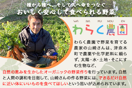 季節のおまかせ『夏』野菜セット 3～8品目程度 わらく農園《6月中旬-7月中旬頃出荷》熊本県 葦北郡 津奈木町 野菜 野菜セット