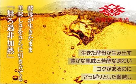 飛騨高山麦酒 カルミナ 12本セット 500ml×12本 地ビール ビール 麦酒 クラフトビール 飛騨高山 瓶ビール ビンビール  TR3384