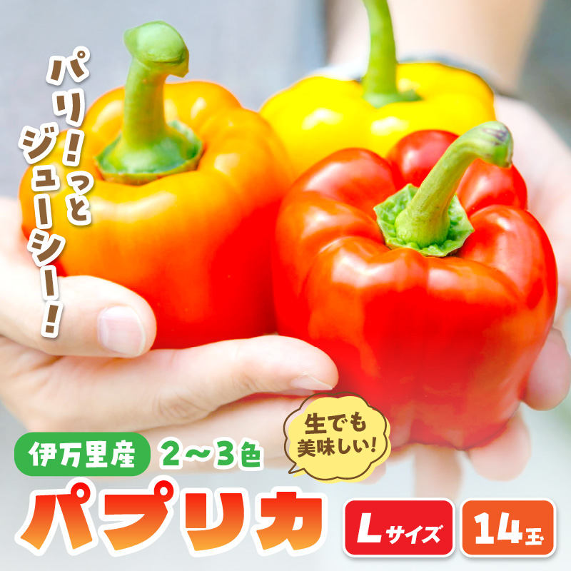 伊万里産 肉厚ジューシー パプリカ Lサイズ14玉入 048-B999