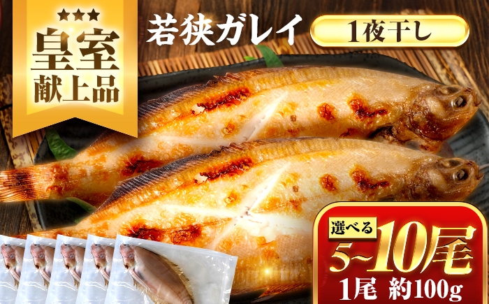 
            【年内配送】＼ 枚数が選べる5尾/10尾／ 献上鰈 上品な味わい 若狭かれい一夜干し / 干物 魚介 冷凍 ギフト 小浜市 / まるほ商店 【配送不可地域：北海道・沖縄・離島】 [BFCS060]
          