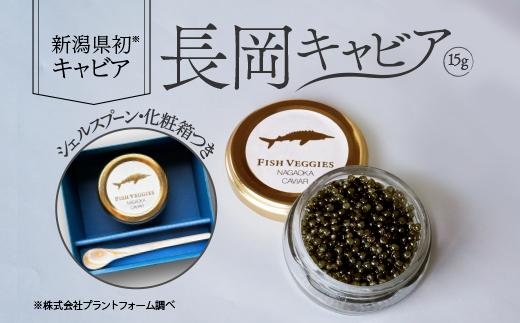 
M0-02長岡キャビア【数量限定 長岡産フレッシュキャビア15g】
