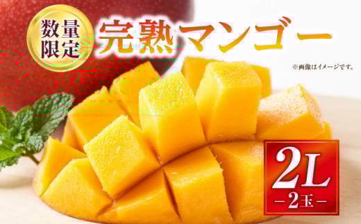 《2026年発送先行予約》【数量・期間限定】完熟マンゴー 2Lサイズ 2玉_M354-002-02