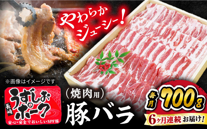 
【 訳あり 】【6回 定期便 】 焼肉用 長崎うずしおポーク 豚バラ（ 焼肉 用）700g 長崎 豚 豚肉 焼き肉 バラ BBQ ブランド豚 ＜スーパーウエスト＞[CAG021]
