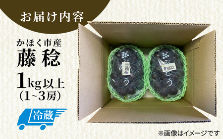  ぶどう 藤稔  1kg以上（1～3房） | ぶどう 葡萄