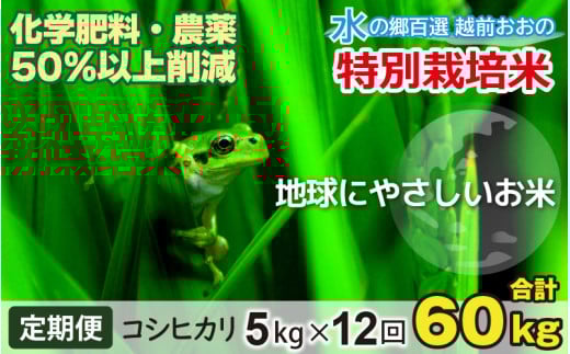 【令和7年産 新米】【12ヶ月定期便】こしひかり 5kg × 12回 計60kg【白米】減農薬・減化学肥料 「特別栽培米」－地球にやさしいお米－