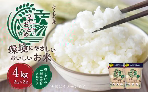 T10 【令和7年産】 環境にやさしいおいしいお米 2kg×2袋 合計4kg 【2026年10月上旬迄順次発送予定】 つやおとめ 精米 米 バイオマス 福岡県 みやま市