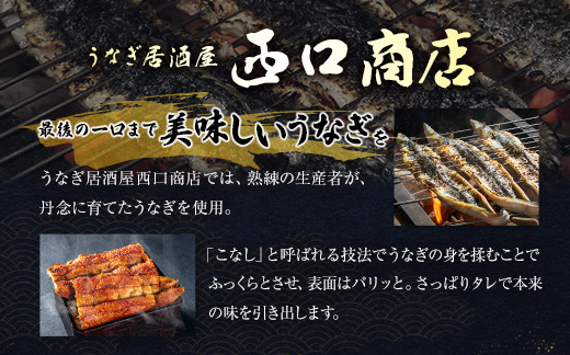 うなぎ居酒屋西口商店の「うなぎの佃煮」40g以上×2袋 国産 数量限定 宮崎県産【B654】