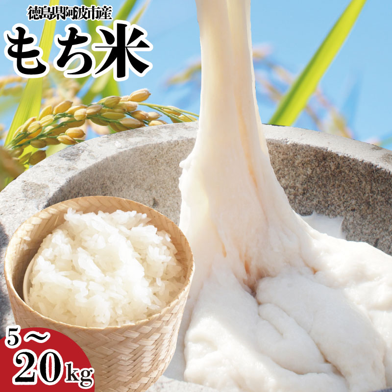 【ふるさと納税】 もち米 5kg 10kg 20kg 赤飯 おはぎ 5キロ 10キロ 20キロ コメ 備蓄 備蓄米 保存 防災 災害 おこわ 雑煮 大福 あられ イベント 餅つき 須見商店 阿波市 徳島県