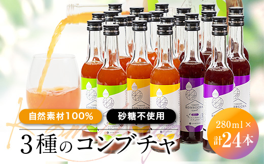 
砂糖を使わず「アガベ」で発酵させた「自然素材100%」の3種のコンブチャ　(280ml×24本)【1312546】
