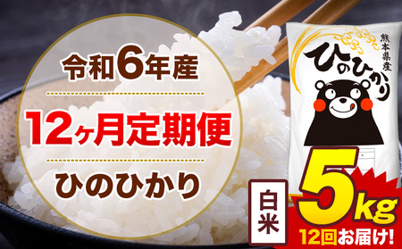 【12ヶ月定期便】令和6年産 白米 5kg 米 ひのひかり《お申込み月の翌月から出荷開始》熊本県 菊池市 国産 熊本県産 白米 精米 無洗米 送料無料 ヒノヒカリ こめ お米
