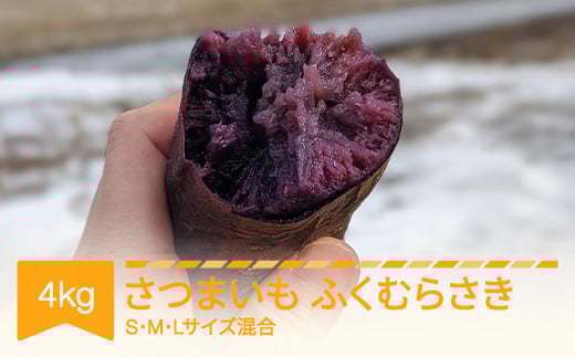 
            さつまいも ふくむらさき 約4kg 村山市産 2025年産 令和7年 山形県産 no-spfmx4 ※沖縄・離島への配送不可
          