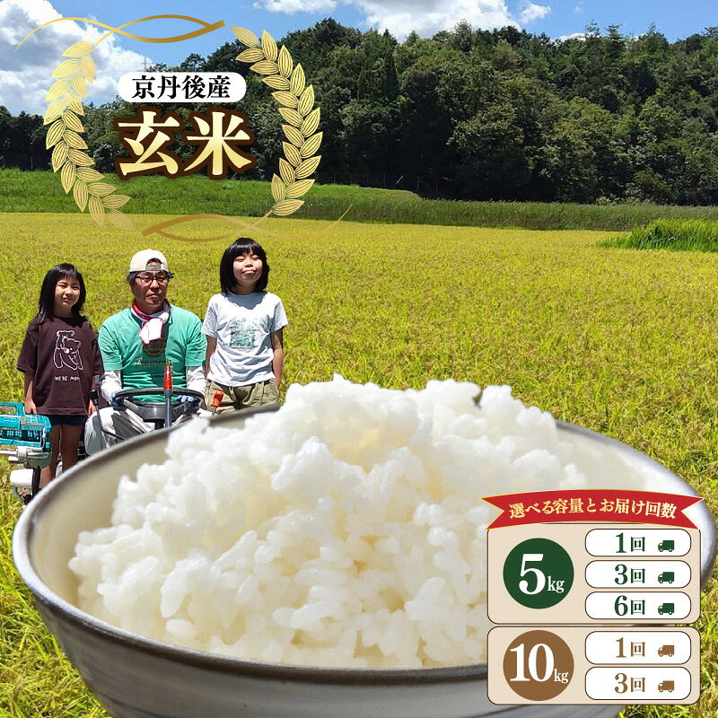 【ふるさと納税】みどりむし農園の丹後産コシヒカリ 玄米 5kg 10kg 3回 6回 選べる 内容量 回数 定期便 ふるさと納税 米 お米 玄米 コシヒカリ 2026年度産 ふるさと納税 玄米 ふるさと納税 玄米 10kg ふるさと納税 玄米 定期便 農家応援