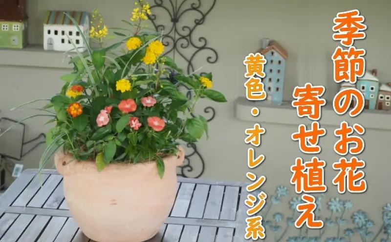 植物 寄せ植え 季節のお花 黄色 オレンジ系 つぼ丸型 植物