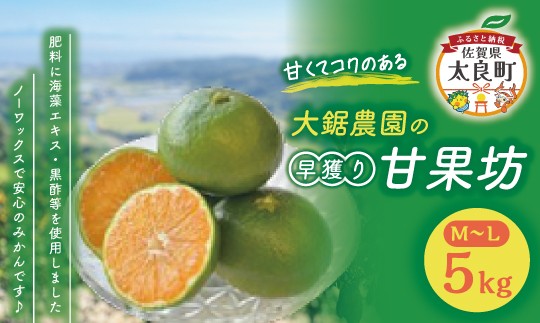 
            大鋸農園の早穫り甘果坊  ５kg  みかん 蜜柑 太良みかん 温州みかん 果物 フルーツ 甘い 早穫り 柑橘 ノーワックス 果実 くだもの 柑橘類 佐賀県 太良町 LB11
          
