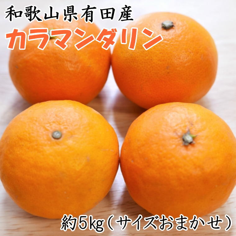 【ふるさと納税】【春みかん】和歌山有田産カラマンダリン約5kg(サイズおまかせ)※2026年4月上旬～2026年5月中旬頃に順次発送
