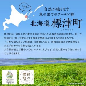 【返礼品なし】北海道標津町の町民の笑顔輝くまちづくりを応援!(30,000円)
