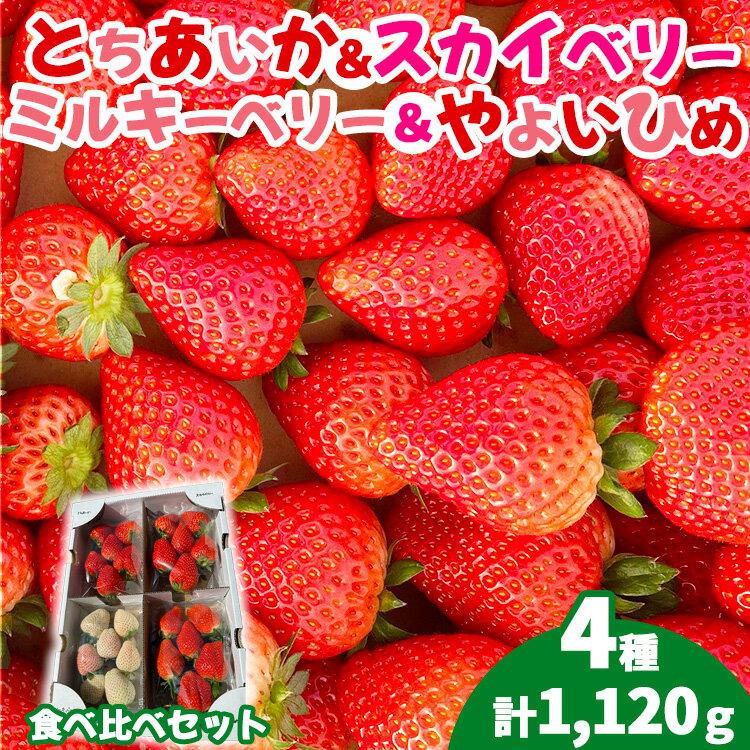 【ふるさと納税】【先行受付】4種のいちご食べ比べセット 約280g×4パック （とちあいか・スカイベリー・ミルキーベリー・やよいひめ） ｜ いちご 苺 イチゴ 果物 フルーツ 食べ比べ 栃木県 塩谷町 ※2027年1月～発送
