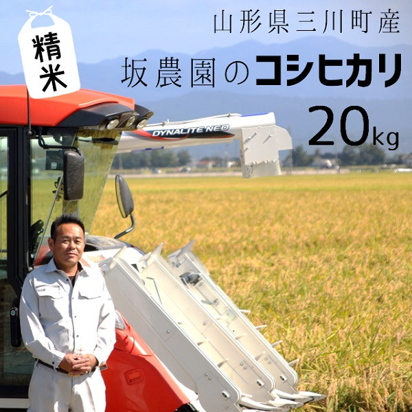 
                  【令和8年産・精米】坂農園の厳選米！コシヒカリ20kg 　※10月中旬頃から順次配送
                
