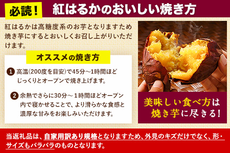 熊本県大津町産 紅はるか 約3.5kg（大中小不揃い）《1-5営業日以内に順次出荷(土日祝除く)》二代目イモセガレブラザーズ さつまいも 芋 紅はるか スイートポテト 干し芋にも 特産品 熟いも 野菜