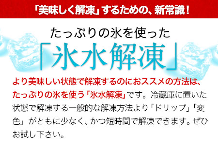 上赤身馬刺し 馬刺し ブロック 国産 熊本肥育 冷凍 生食用 たれ付き(10ml×15袋) 100g×15セット 肉 絶品 馬肉 平成27年28年 農林水産大臣賞受賞 熊本県 葦北郡 津奈木町《7月中