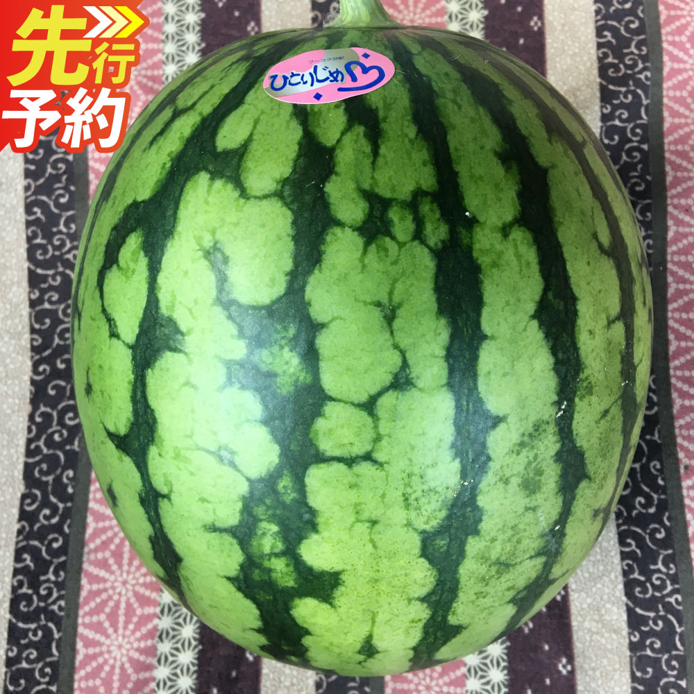 【ふるさと納税】熊本特産！小玉 スイカ2玉 入り 西瓜 果物 フルーツ 九州 ギフト 贈答 小玉 くだもの 熊本県産 送料無料【2027年6月発送予定】