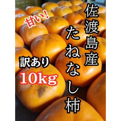 ふるさと納税 佐渡市 【2025年10月以降発送分】訳あり　佐渡島産たねなし柿　10kg(箱の重さ込み)