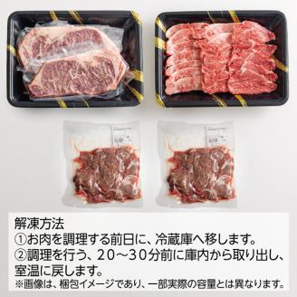 《大容量》黒毛和牛Bセット(ステーキ・焼肉・切り落とし)3種で合計1kg コスパ最強と話題の国産牛詰め合わせセット [赤身肉 牛肉 お肉 ステーキ 切り落とし 『返礼品特集20000円以下』-宮崎県高