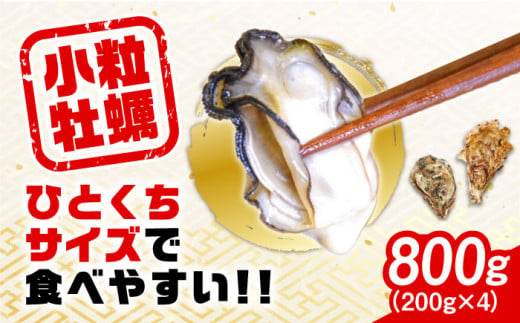 【2月28日（金）着】生産量日本一！【生牡蠣】レンジでチンするだけ簡単！江田島の小粒牡蠣『がきんちょ』(200g×4パック) (加熱用) 牡蠣 カキ レンチン おかず かき 江田島市/株式会社門林水産 [XAO003]