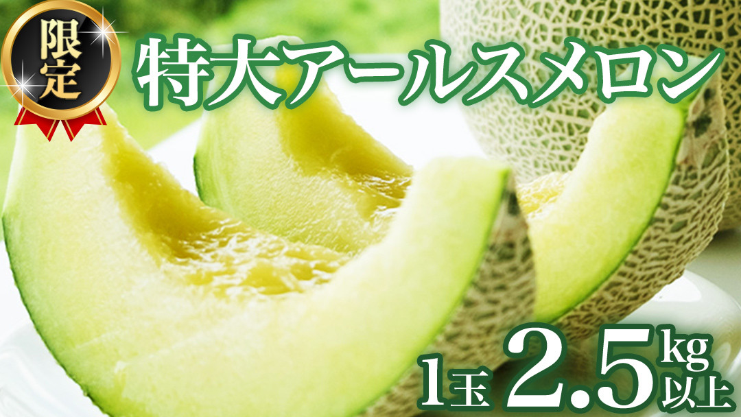 
            【2025年8月下旬発送開始】 季節 限定 ！ 甘さ満点 特大 アールスメロン 1個 箱 果物 フルーツ 農家直送 産直 青肉メロン 特産品 マスクメロン メロン くだもの 茨城 [BC005sa]
          