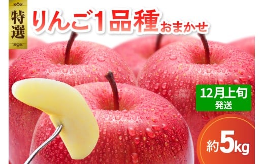 【2025年12月上旬発送】 【特選】 旬の美味しい りんご 約5kg 青森産 【おまかせ1品種】
