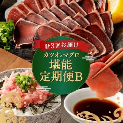 ふるさと納税 室戸市 &lt;3ヶ月連続&gt;カツオとマグロ堪能定期便B
