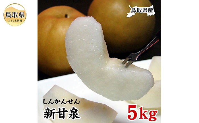 
            B24-485 新甘泉　5kg（自家用）【鳥取県産】【期間・数量限定】
          