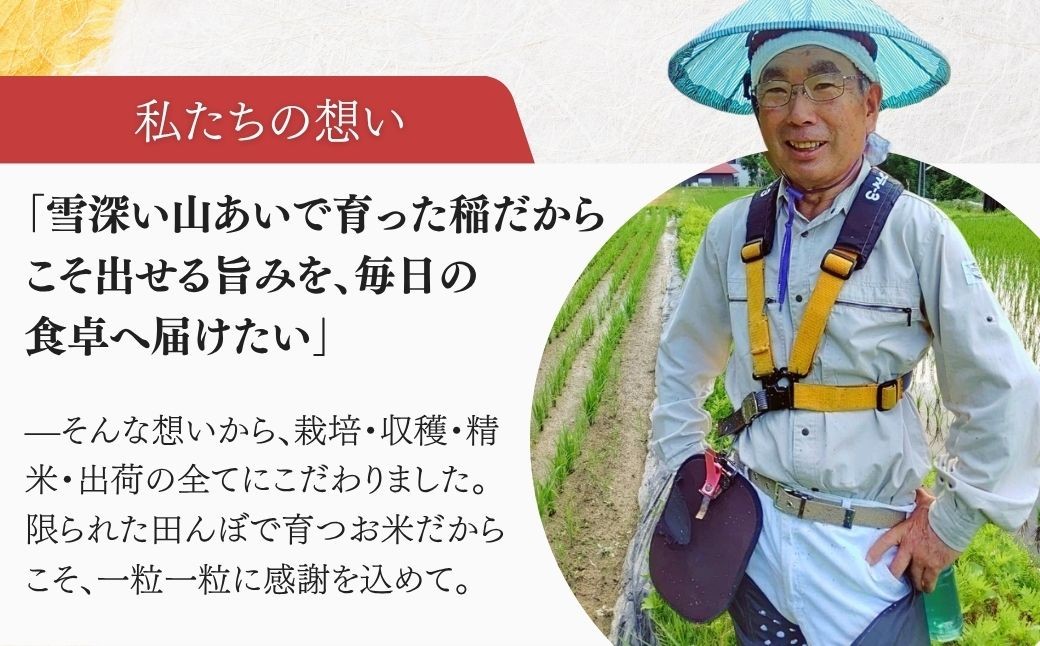 ※画像はイメージです。