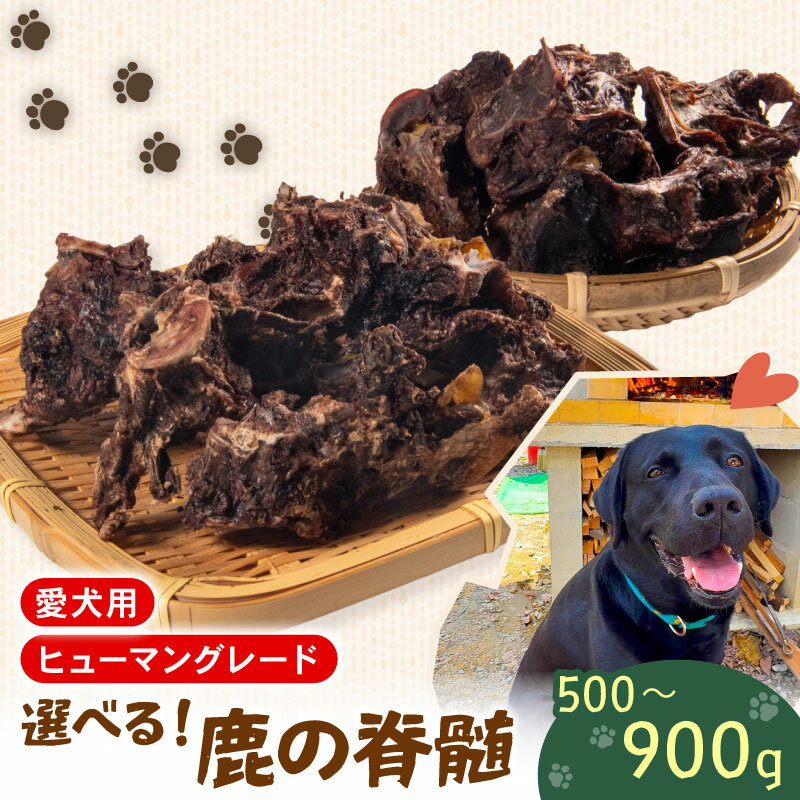 【ふるさと納税】 ペットフード シカ の 脊髄 500 g ~ 900 g セット 肉付き 鹿肉ドックフード ペット 犬 いぬ イヌ わんちゃん 小型犬 中型犬 大型犬 高タンパク 高たんぱく 低脂肪 低カロリー 鹿肉 動物 エサ おやつ ごはん ご褒美 滋賀県 日野町 ジビエ商店かやき