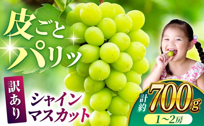 
                  シャインマスカット【先行予約】【訳あり】 シャインマスカット 約700g(1～2房) 果物 ぶどう ブドウ 葡萄 皮ごと フルーツ 家庭用シャインマスカット しゃいんますかっと マスカット ますかっと くだもの 先行予約【合同会社 社方園】 1万円以下 10000円以下 [ZBZ027]
                