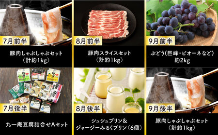 【24回定期便】毎月2回お届け！ファーストクラス定期便（ プリン いちご ジェラート チーズ ハムセット 豚肉 ジュレ ハンバーグ 長崎和牛 カレー 豆腐 ぶどう お米 ジュース ）/ イチゴ 苺 ロ