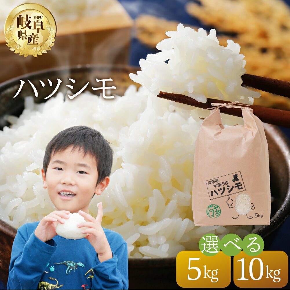 【ふるさと納税】令和7年産 新米 ハツシモ 5kg 10kg 選べる 1回 3回 6回 3か月 6か月 お届け 30kg 60kg 米 こめ ごはん 白米 岐阜県産 本巣市 お米 精米 おにぎり 弁当 さっぱり 旨味 甘い 和食 寿司 岐阜県産 ヤマダライス [mt1092] 2025年 11月～ 発送