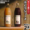 【ふるさと納税】＼ホッとな飲み比べ／「ホッとキャンベル & ホッとナイアガラのセット 」 ぶどう ジュース 濃厚 果汁100％ 2種類 飲み比べ (EQ001)